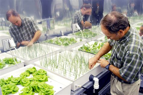 Maximizing Yield with Magic Subs and Hydroponic Methods